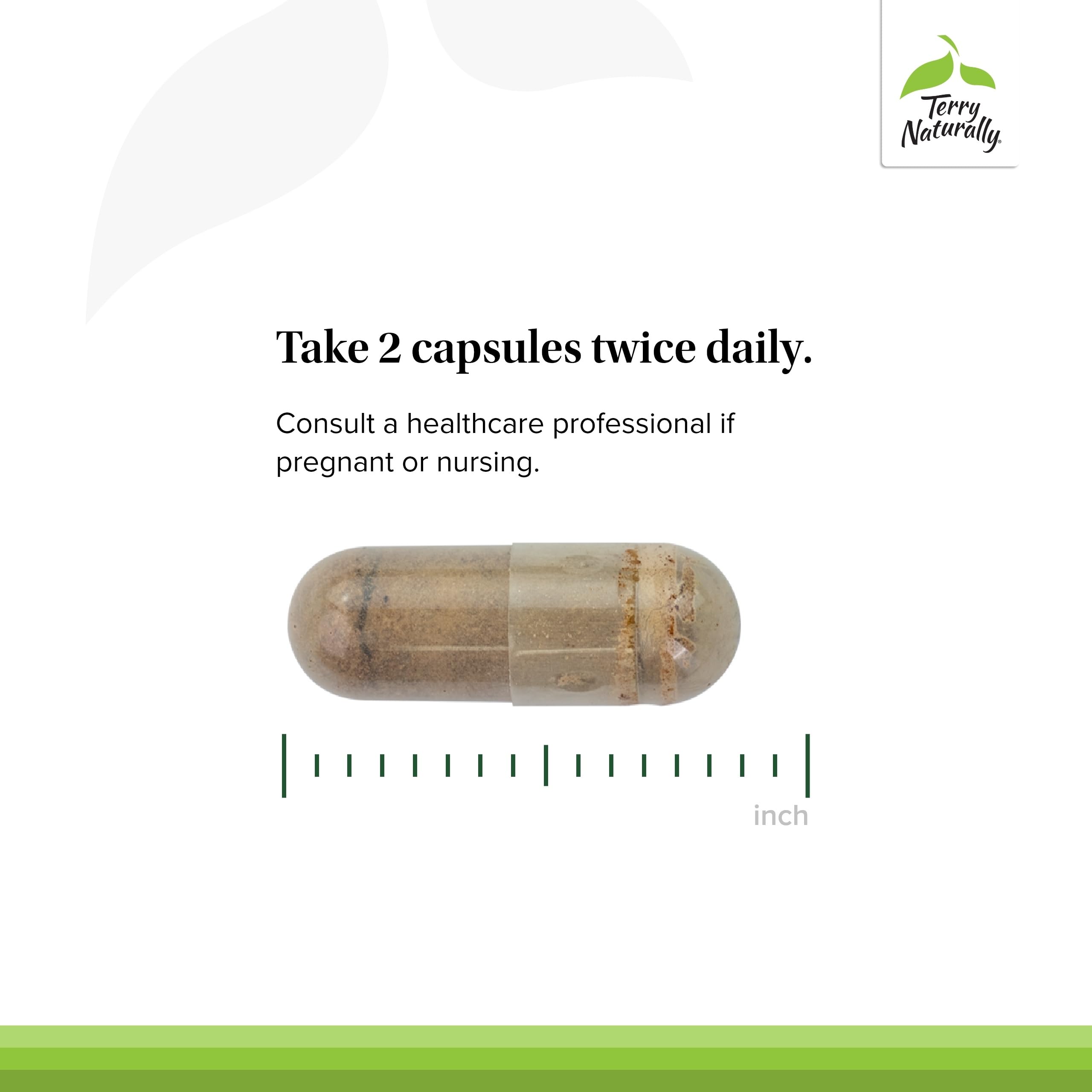 Terry Naturally Iron Supplement 14g capsules on a wooden table