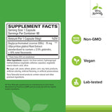 Terry Naturally Licorice Root Supplement 100g side view