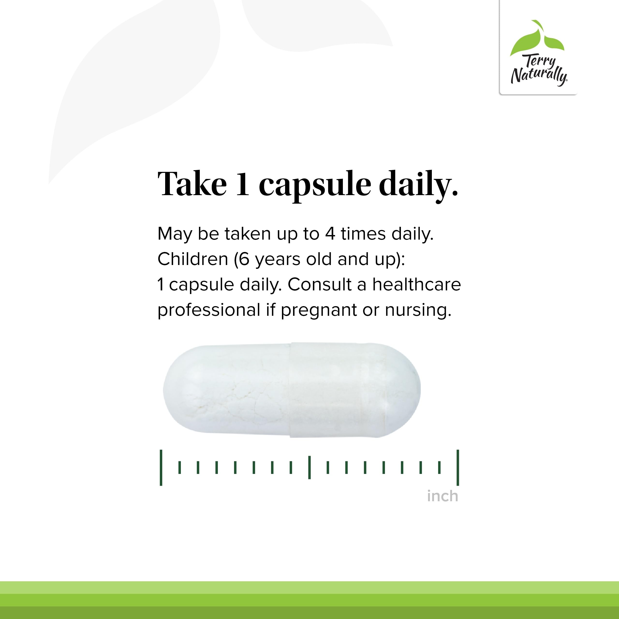 Terry Naturally Magnesium Supplement packaging on a wooden table