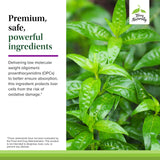 Terry Naturally Milk Thistle supplement bottle with background