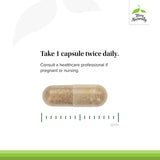 Terry Naturally Milk Thistle supplement ingredients list