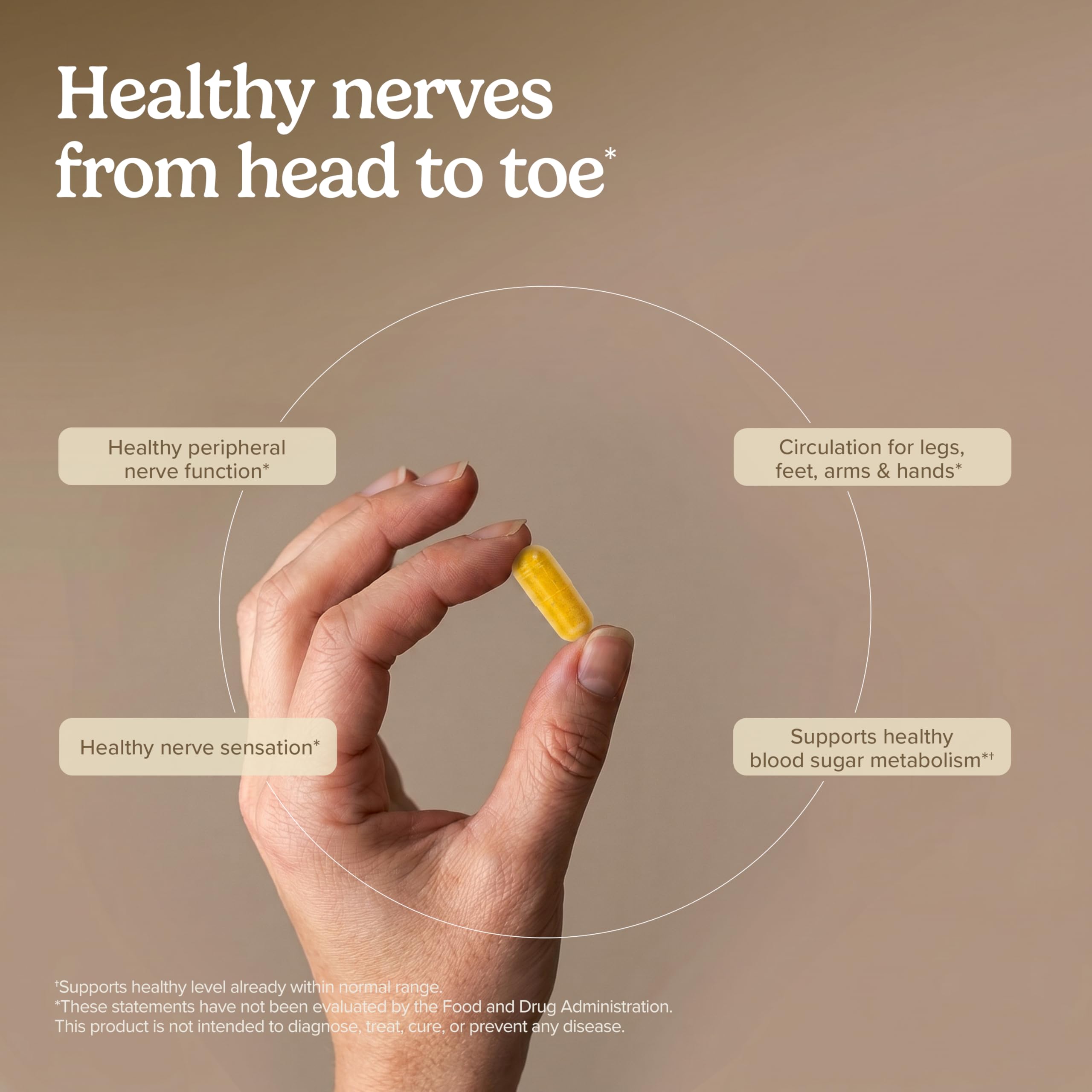 Terry Naturally Nerve Support Supplement 141g ingredients list