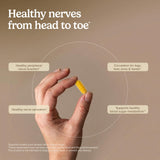 Terry Naturally Nerve Support Supplement 141g ingredients list