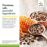 Terry Naturally Propolis Extract EP300 Capsules with ingredients list