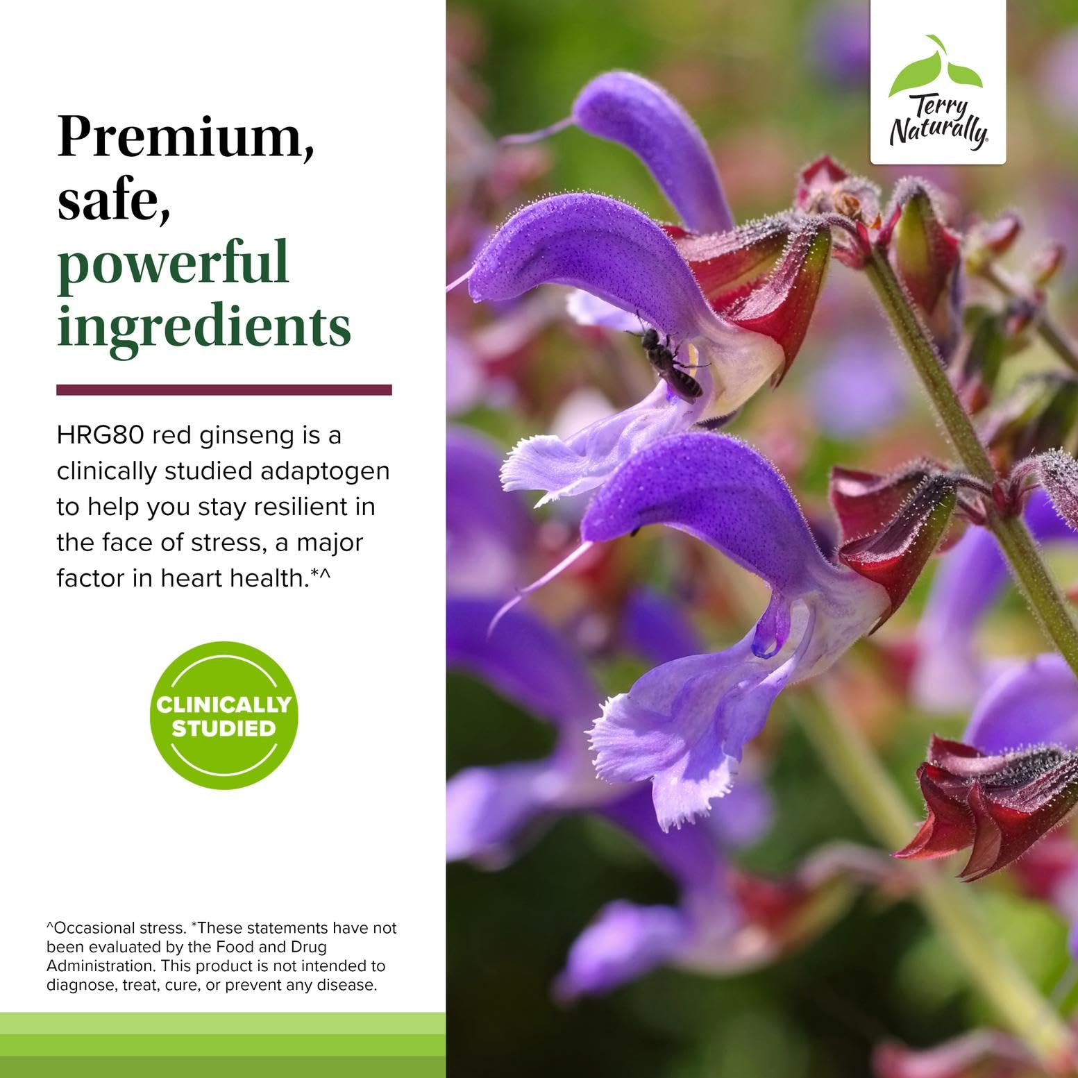 Terry Naturally Red Sage Plus supplement bottle back view