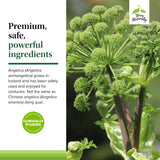 Terry Naturally Saw Palmetto supplement with ingredients list