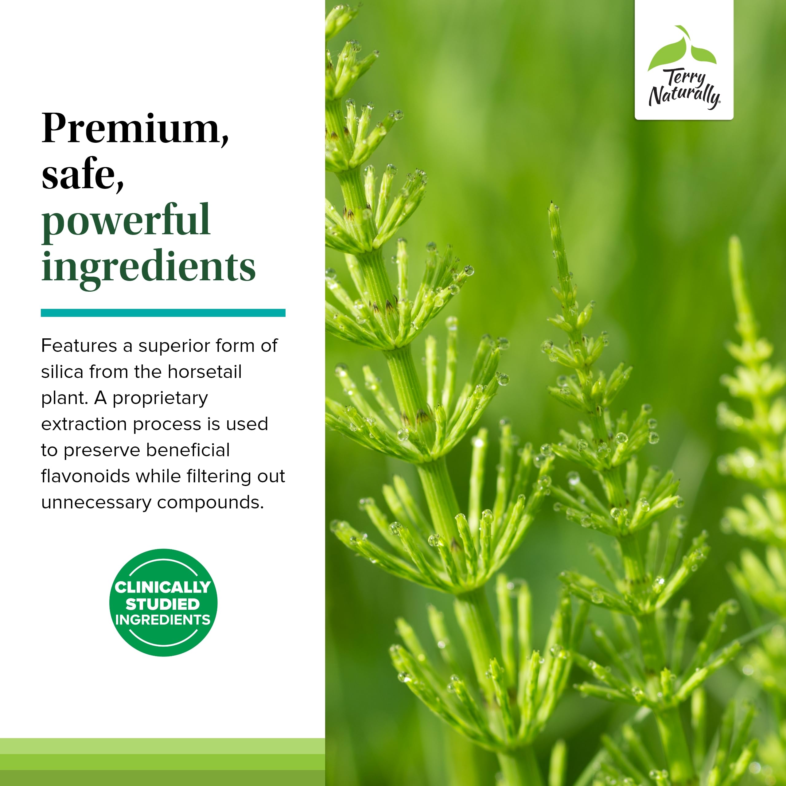 Terry Naturally Silicon Supplement capsules in a hand