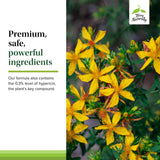 Terry Naturally St. John’s Wort EP9 tablets on a wooden surface