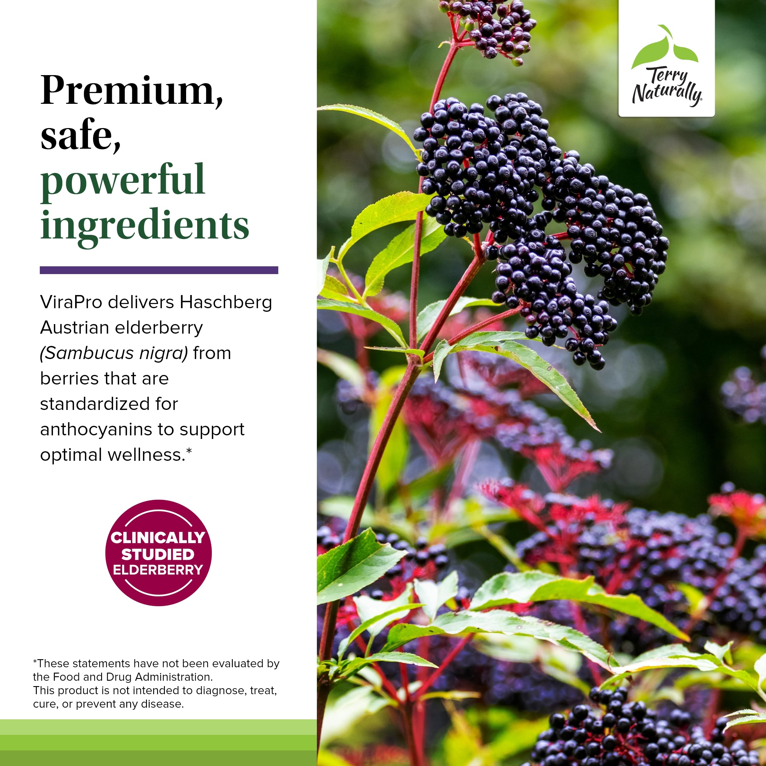 Terry Naturally ViraPro Elderberry Supplement 300mg packaging