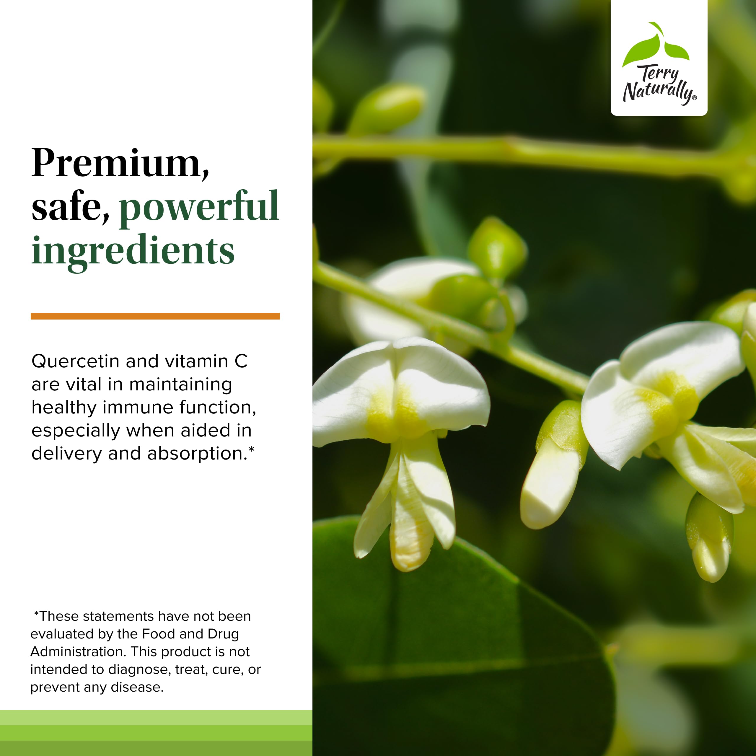 Terry Naturally Vitamin C Supplement 82g capsule close-up