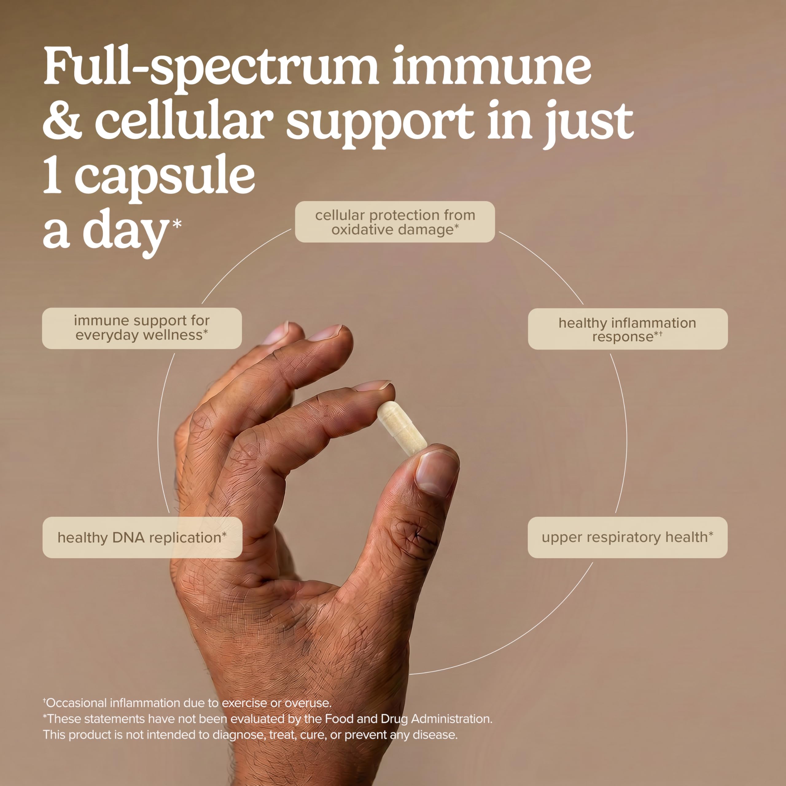 Terry Naturally Zinc & Selenium Capsules ingredients list