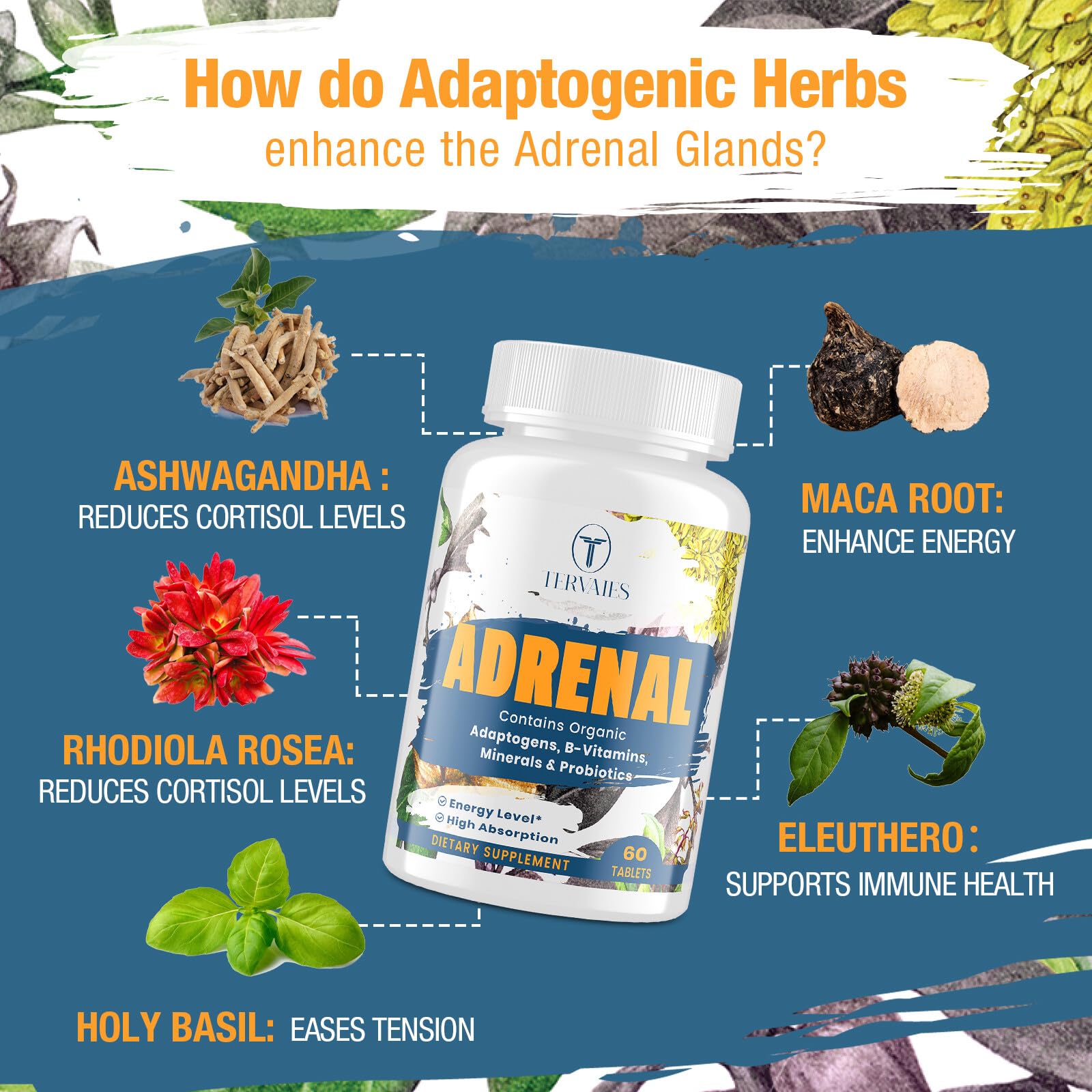 Tervaies Adrenal Extracts Supplement tablets on a wooden surface