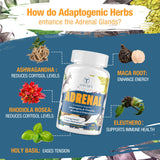 Tervaies Adrenal Extracts Supplement tablets on a wooden surface