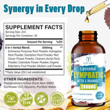 Tervaies Echinacea Liquid Supplement bottle side view