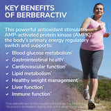 Tesseract Berberine Extract Supplement with packaging