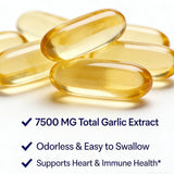 TEYAOE Odorless Aged Garlic Extract 500mg capsule close-up