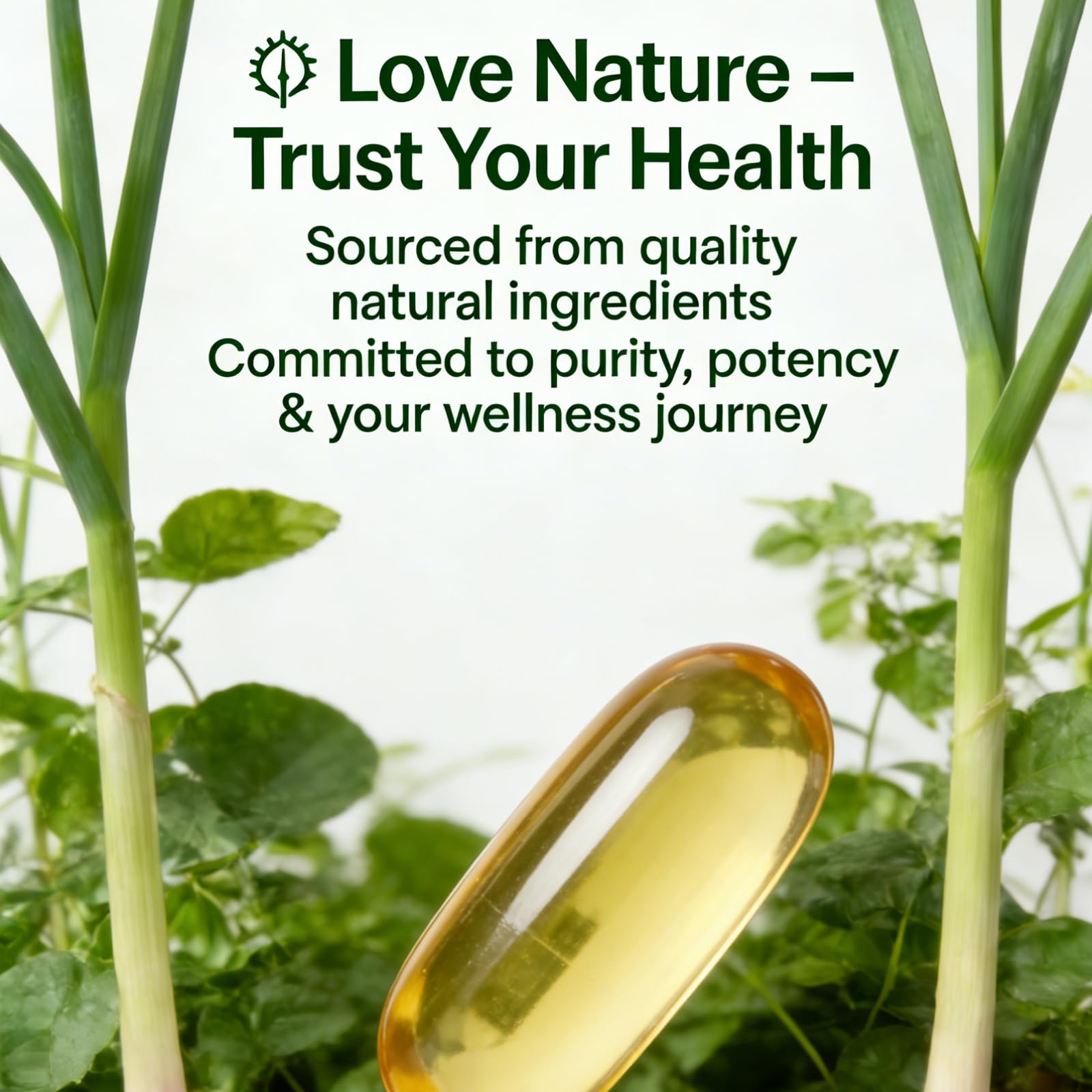 TEYAOE Odorless Aged Garlic Extract 500mg capsules with measuring spoon