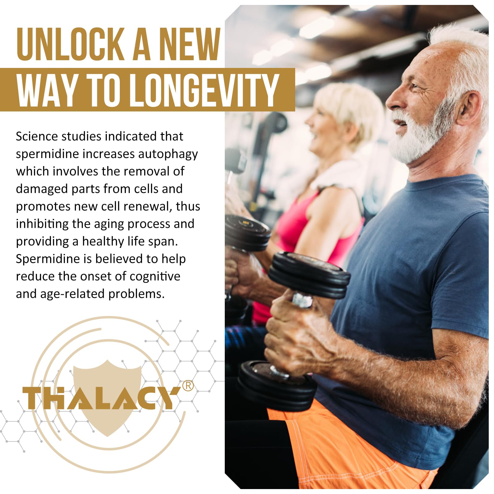 Thalacy Spermidine Supplement in a lifestyle setting