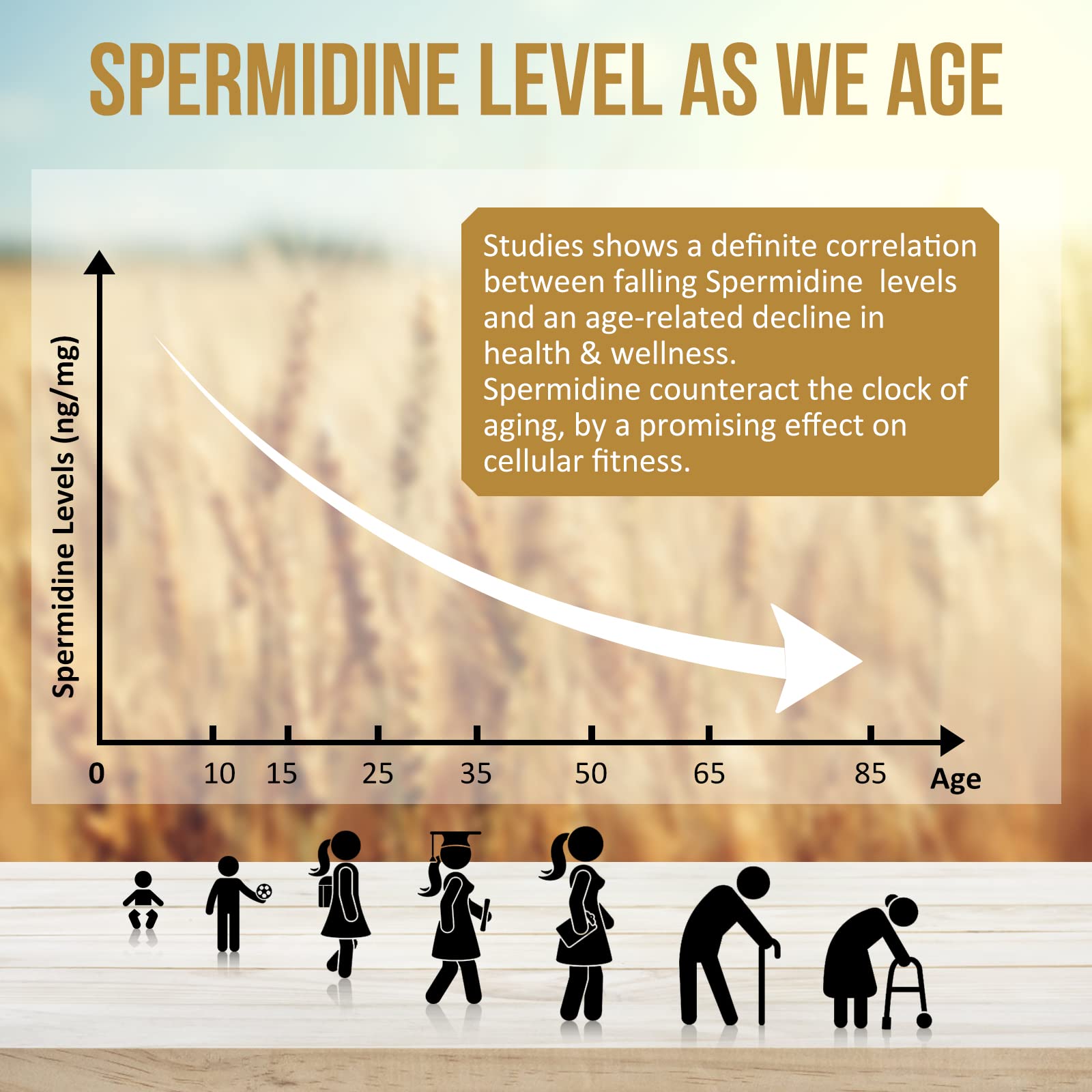 Thalacy Spermidine Supplement ingredients list