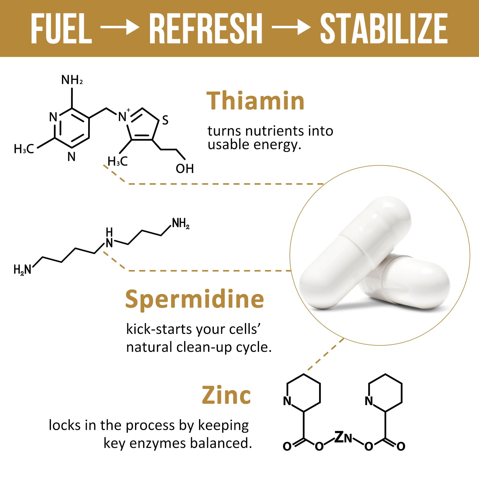 Thalacy Spermidine Supplement packaging details