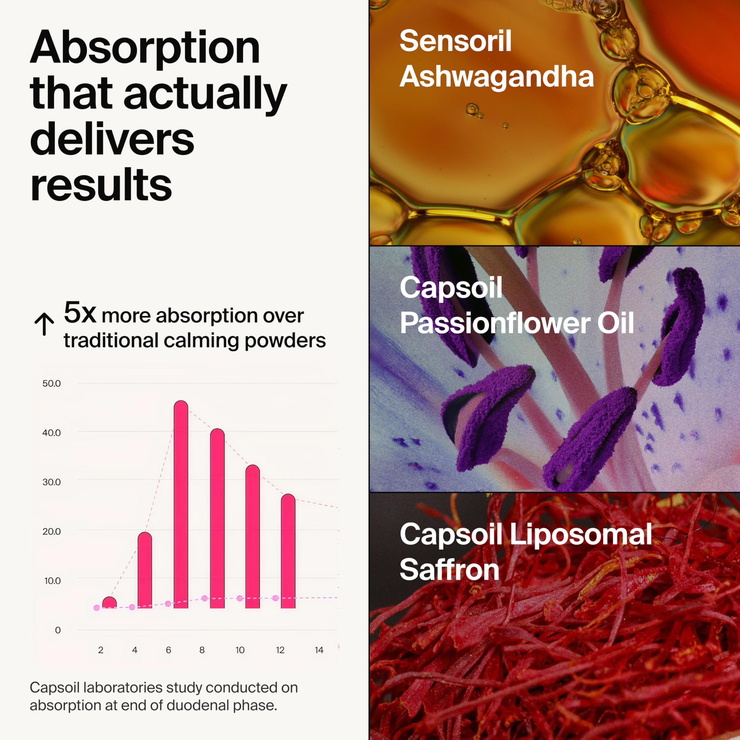 The Absorption Company Ashwagandha Supplement ingredients list