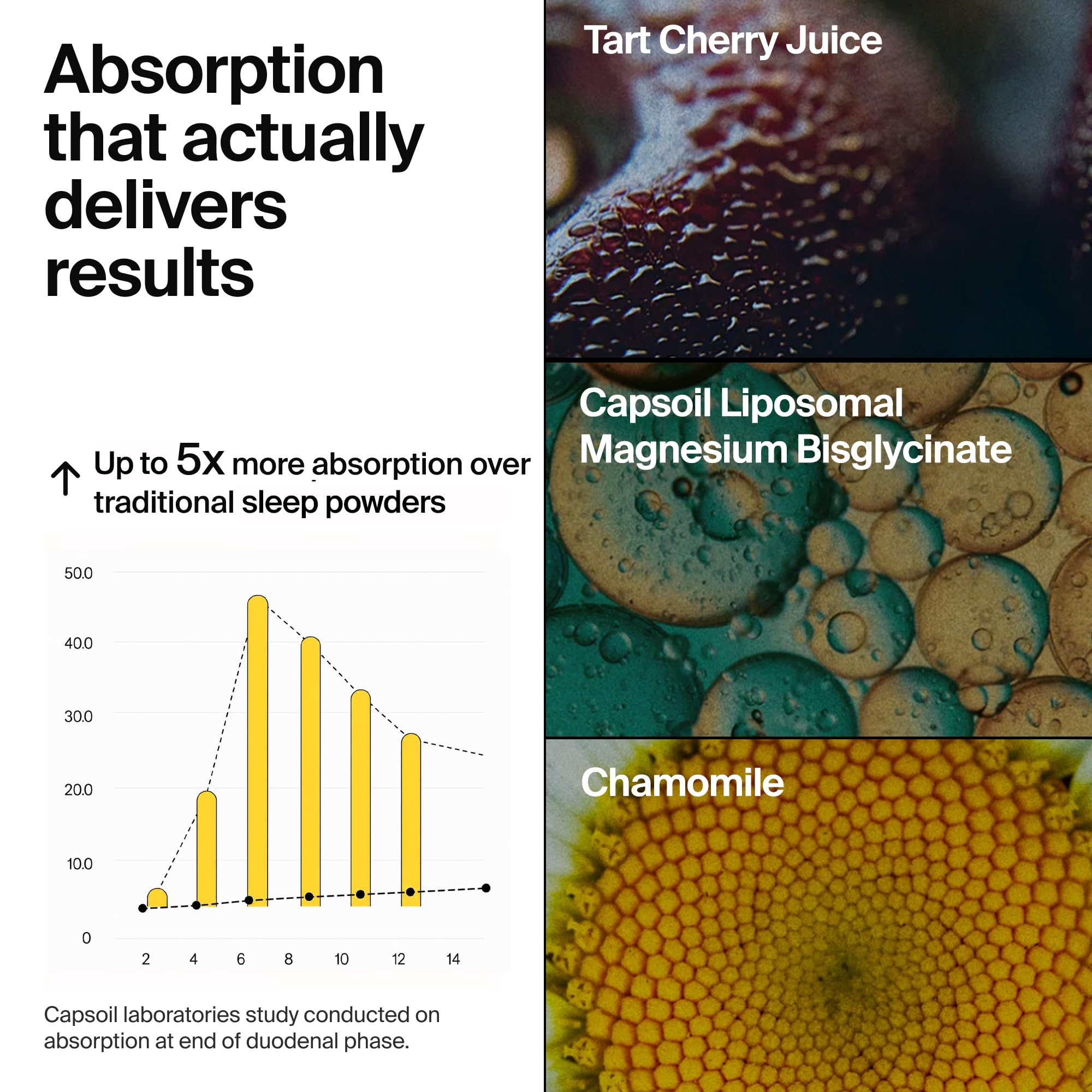 The Absorption Company Sleep Powder ingredients list