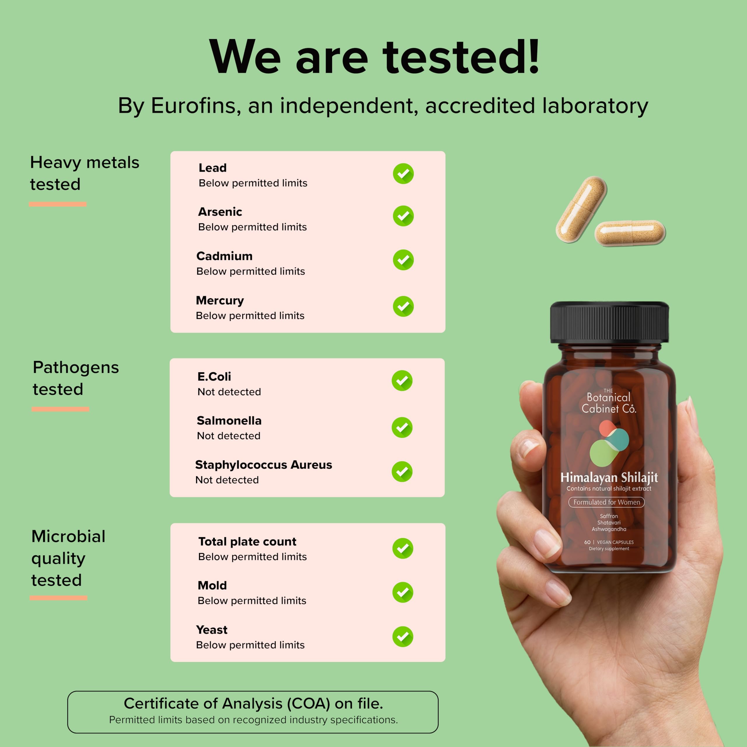 The Botanical Cabinet Co. Shilajit Capsules 800mg with natural extracts