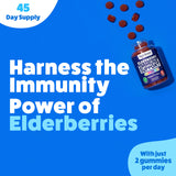 The Feel Great Vitamin Company Elderberry Gummies on a kitchen counter