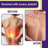 The Friendly Patch Relief Night Patch packaging with aloe vera scent