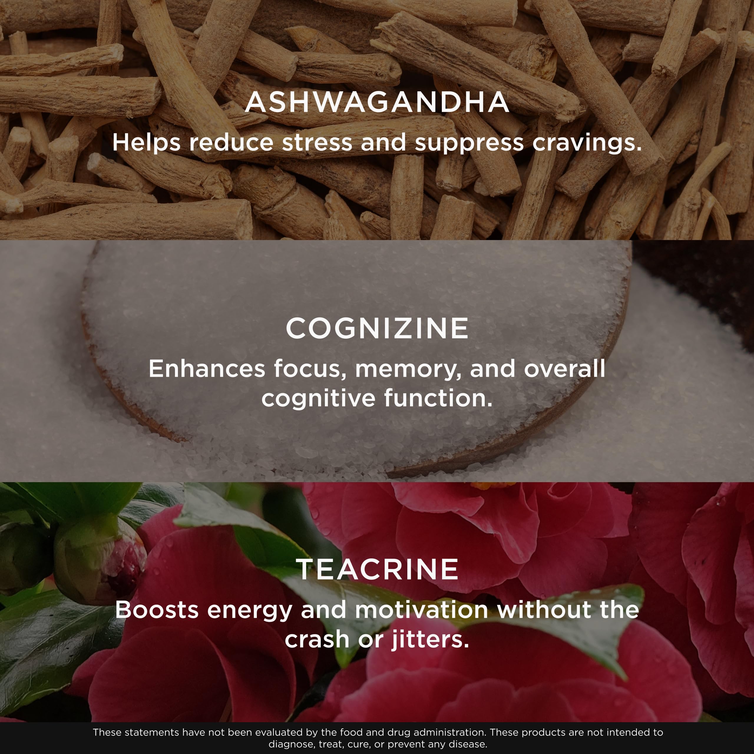The Genius Brand Genius Burn Thermogenic Supplement ingredients list