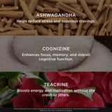 The Genius Brand Genius Burn Thermogenic Supplement ingredients list