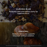 The Genius Brand Genius Mindfulness Ashwagandha Supplement with ashwagandha and blueberries