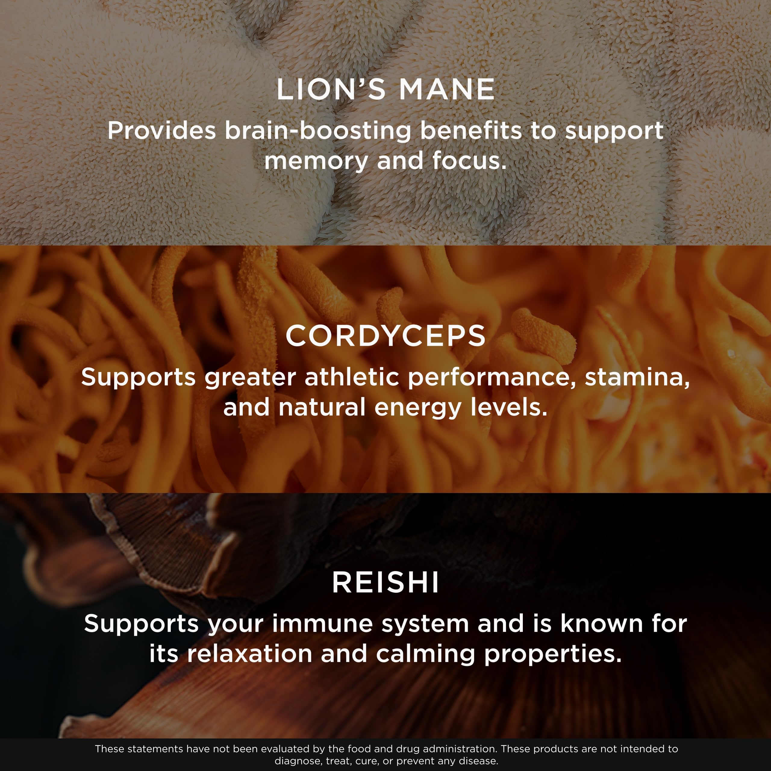 The Genius Brand Genius Mushroom Supplement ingredients list