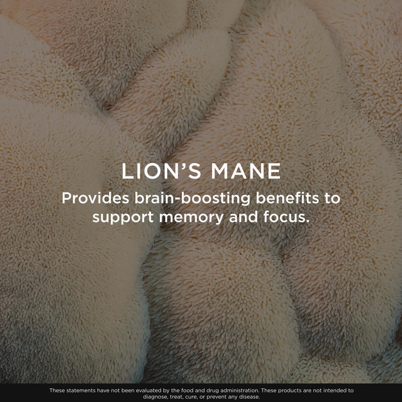 The Genius Brand Lion's Mane Soft Chews side view showing nutritional information