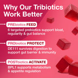 The Gut Gummy Daily Gut Reset 8-in-1 Triobiotic Supplement lifestyle scene