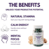 The Mushroom Society Daily Energy Supplement capsules close-up