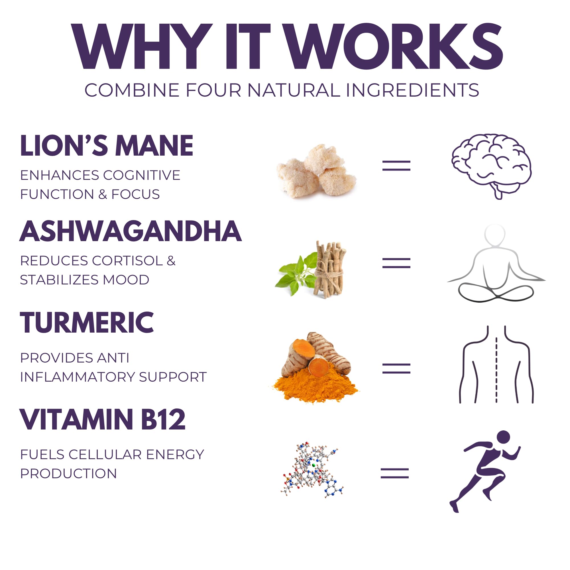 The Mushroom Society Daily Energy Supplement ingredients list