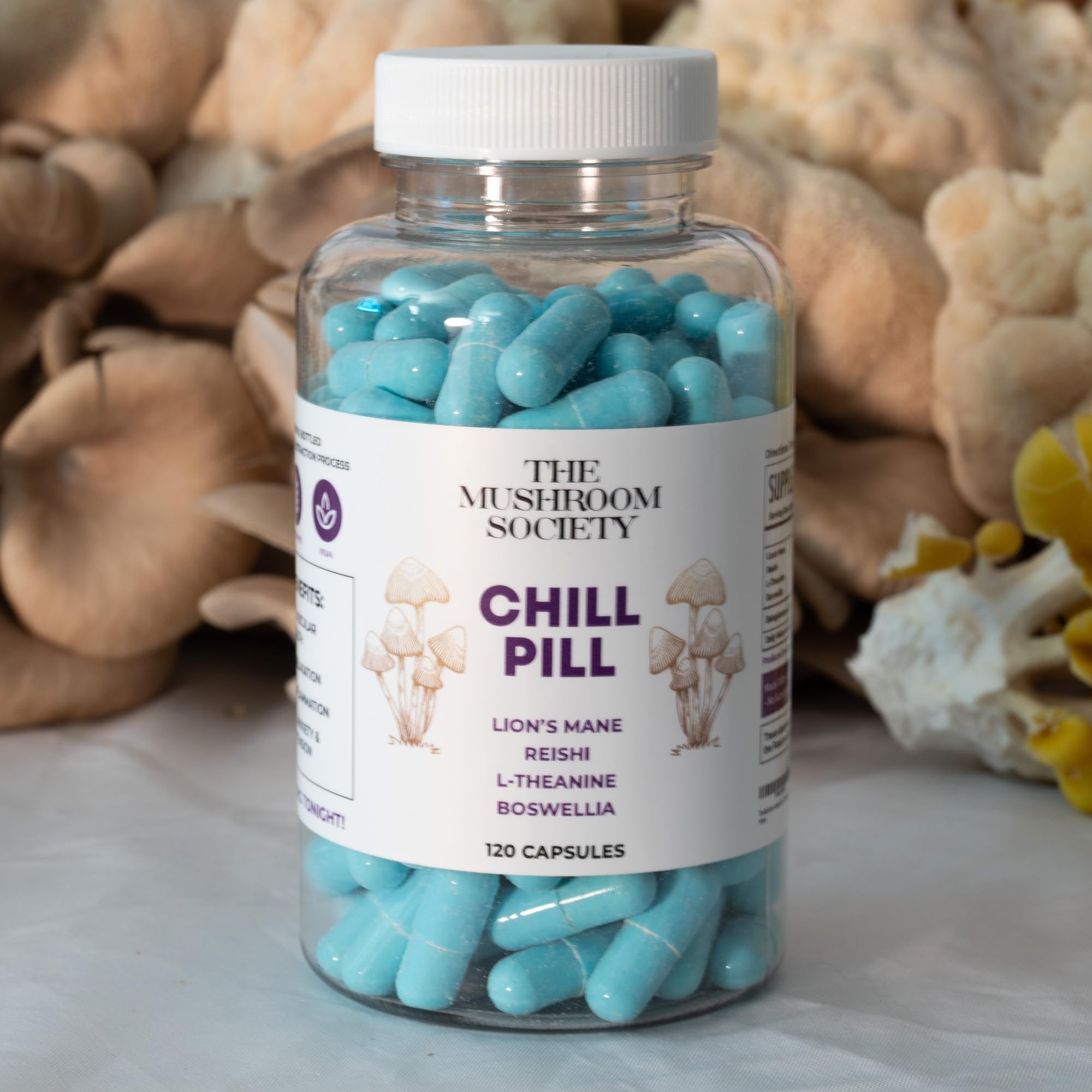 The Mushroom Society Herbal Supplement Capsules on a wooden table