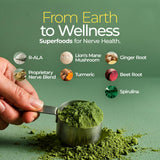 The Nerve Brand Alpha Lipoic Acid Superfood Powder mixed in a smoothie