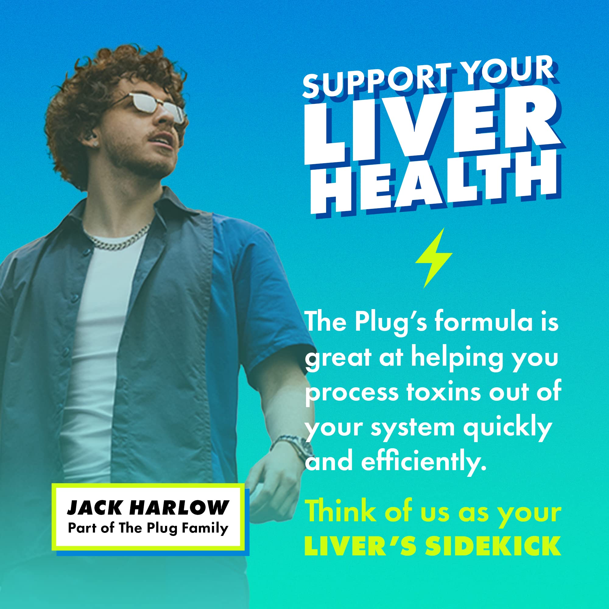The Plug Milk Thistle capsules showing ingredients list