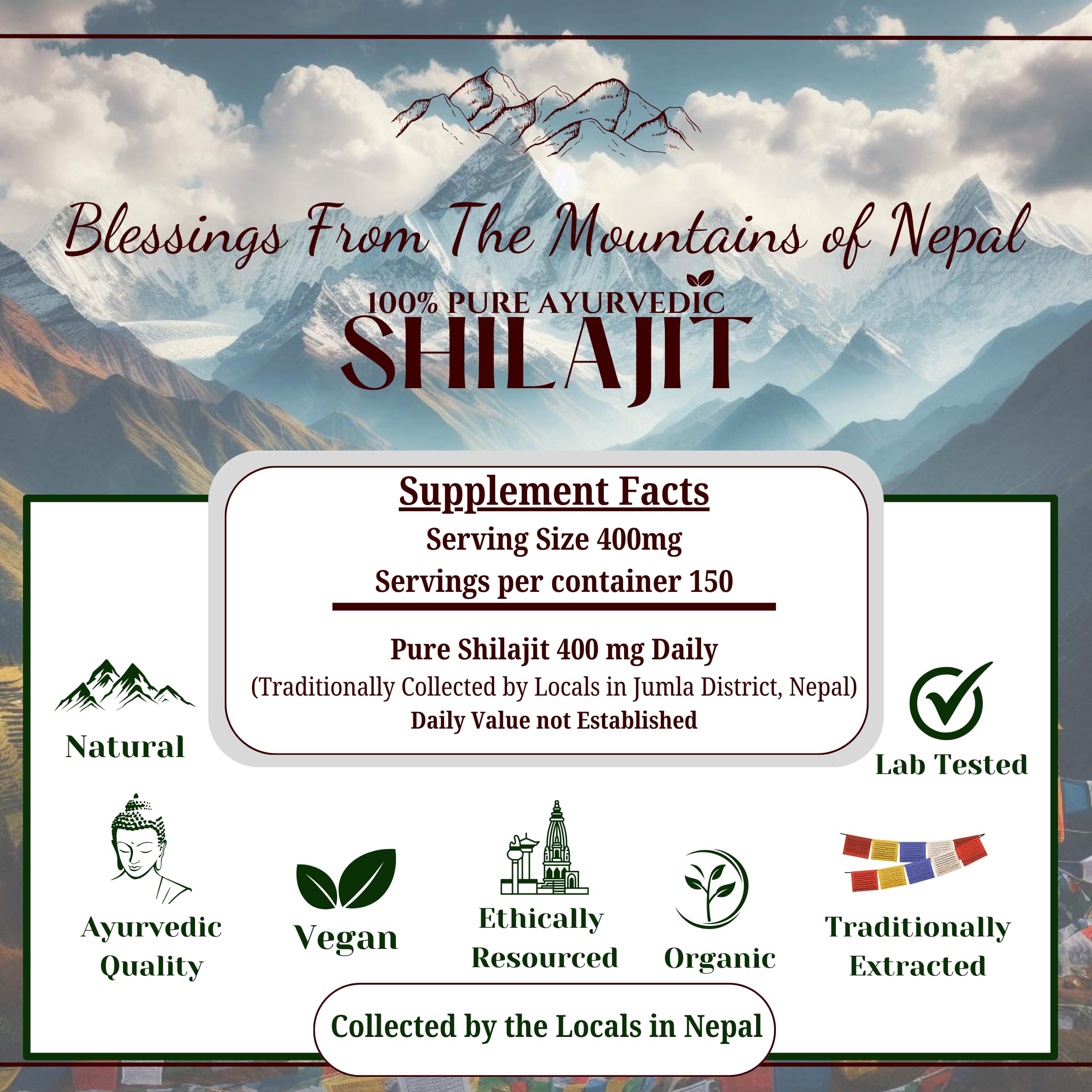 The Swayambhu Shilajit Resin close-up of the resin