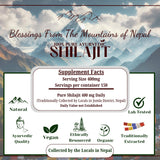The Swayambhu Shilajit Resin close-up of the resin