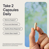 THINKWELL LABS Clear Mind Brain & Focus Formula back view