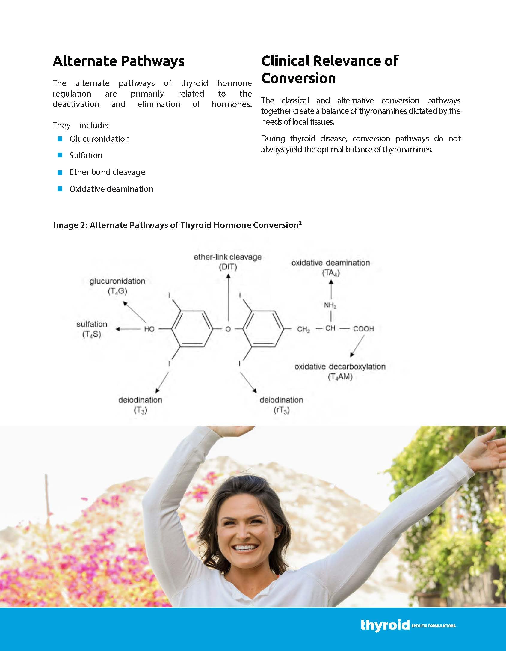 Thyroid Specific Formulations T2/T3 Conversion support ingredients list on packaging