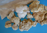TIGERMM Organic Tiger Milk Mushroom capsules close-up