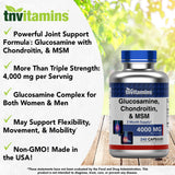 tnvitamins Chondroitin 240 Capsules bottle with label