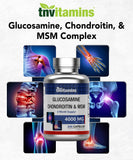 tnvitamins Chondroitin 240 Capsules capsules close-up