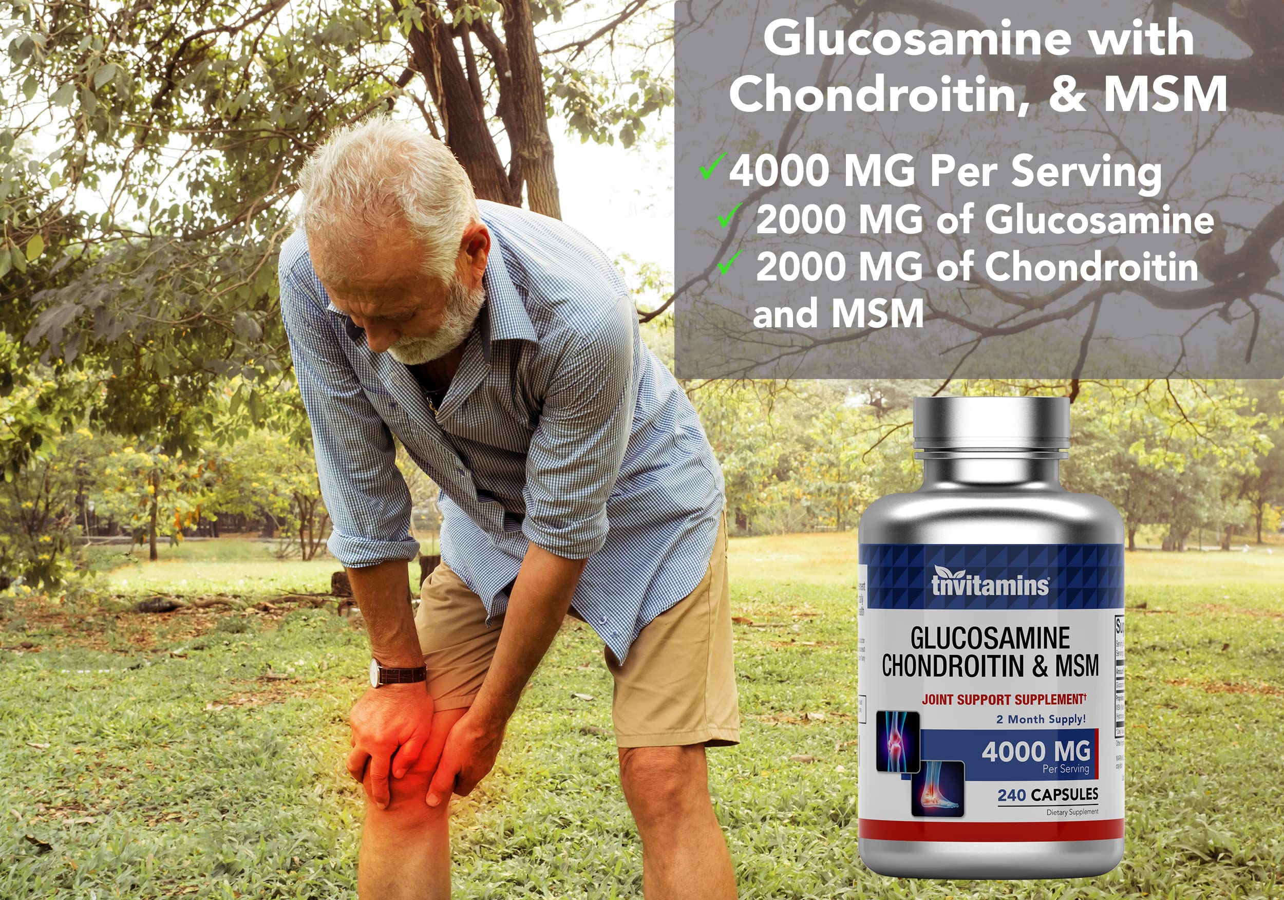 tnvitamins Chondroitin 240 Capsules ingredients list