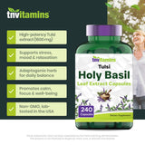 tnvitamins Holy Basil Capsules bottle with label