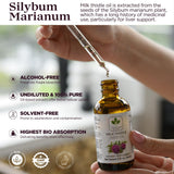 TODICAMP Milk Thistle Oil 1000mg liquid drops